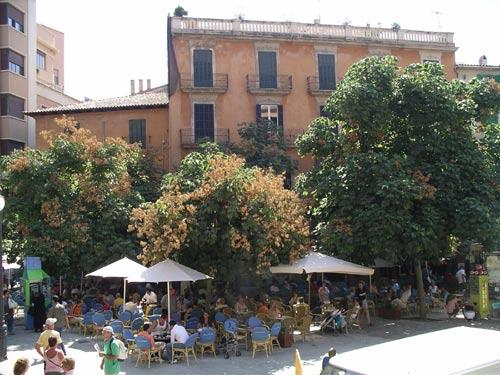 Palma 10.jpg